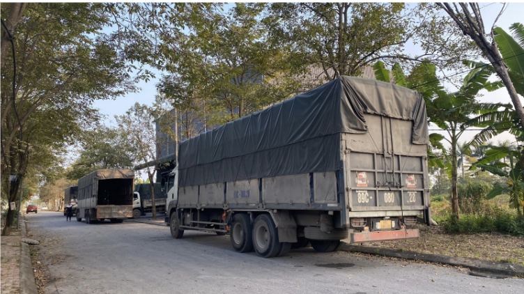 xe tải, đường phố và cây xanh, nắng đẹp dịu