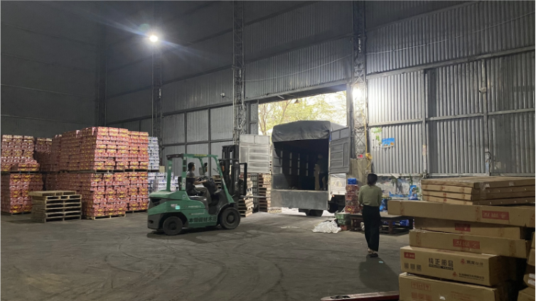 Hàng hoá được nâng hạ cẩn thận bằng thiết bị hiện đại