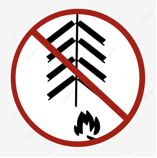 Pháo hoa là hàng hoá bị cấm vận chuyển