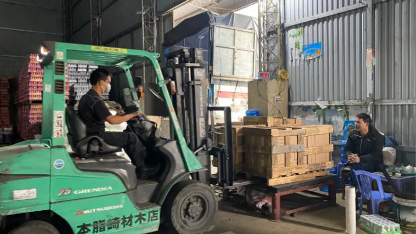 Xe nâng di chuyển kiện gỗ tại khu vực kho