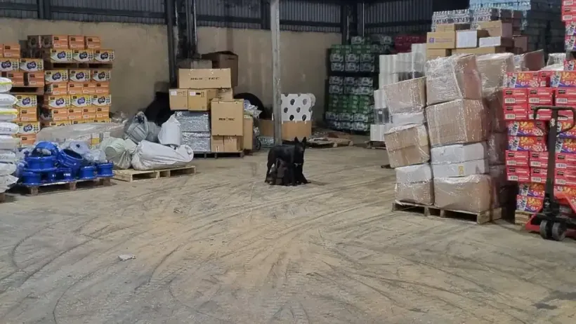 Hàng hóa được xếp trên pallet trong kho